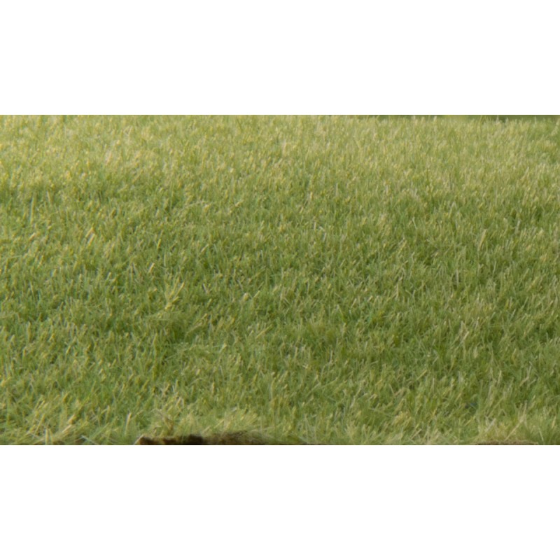Woodland Scenics Static Grass 2mm -Dark Green -FS613