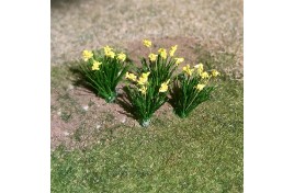 Daffodils 20 in pack 