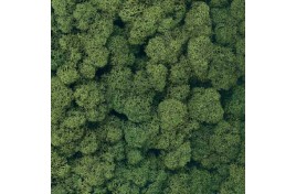 Dark Green Lichen 125g