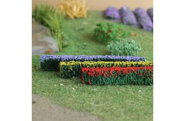 Flowering Hedges (6)