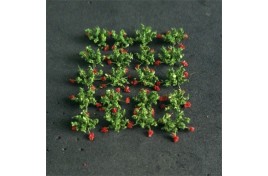 Strawberries (24) - 00913