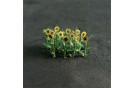 Sunflowers (14) - 00904
