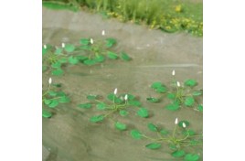 Water Lilies x 6 N Gauge
