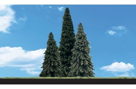 Classic Trees Forever Green (Fir) Medium/Large (6