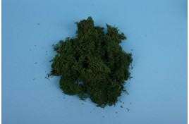 Lichen - Dark Green 80g