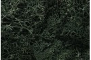 Lichen - Dark Green