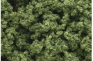 Clump Foliage - Light Green