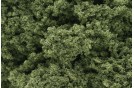 Foliage Clusters - Light Green